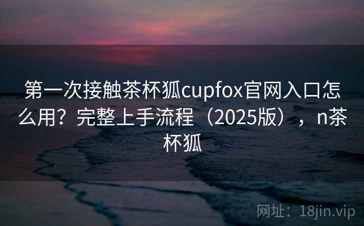 第一次接触茶杯狐cupfox官网入口怎么用？完整上手流程（2025版），n茶杯狐