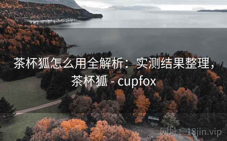 茶杯狐怎么用全解析：实测结果整理，茶杯狐 - cupfox