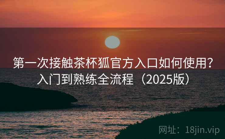 第一次接触茶杯狐官方入口如何使用？入门到熟练全流程（2025版）