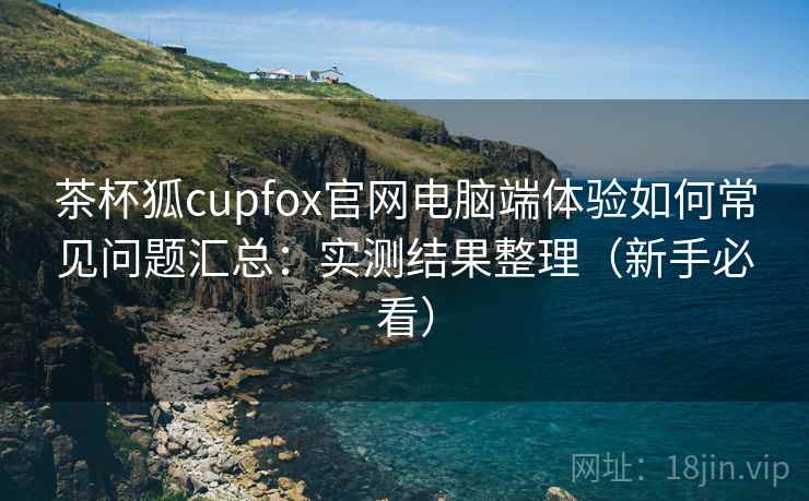 茶杯狐cupfox官网电脑端体验如何常见问题汇总：实测结果整理（新手必看）
