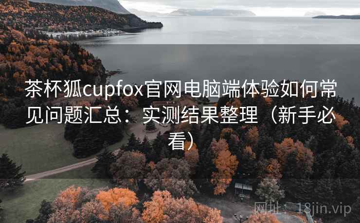 茶杯狐cupfox官网电脑端体验如何常见问题汇总：实测结果整理（新手必看）