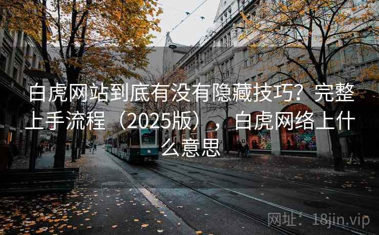 白虎网站到底有没有隐藏技巧？完整上手流程（2025版），白虎网络上什么意思
