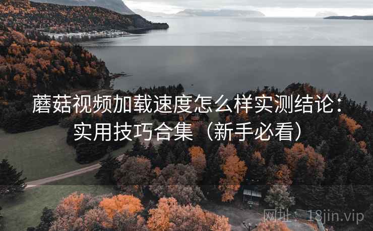 蘑菇视频加载速度怎么样实测结论：实用技巧合集（新手必看）