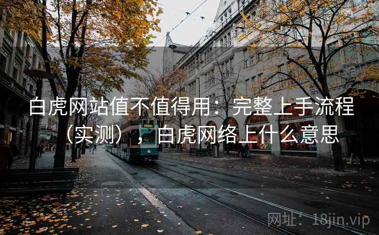 白虎网站值不值得用：完整上手流程（实测），白虎网络上什么意思