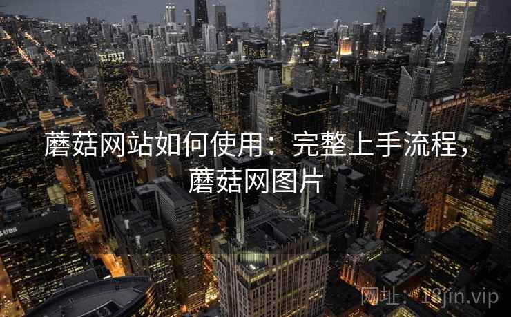 蘑菇网站如何使用:完整上手流程,蘑菇网图片